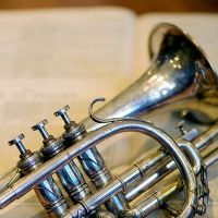Brass Band - Musicians Activities - for all ages
