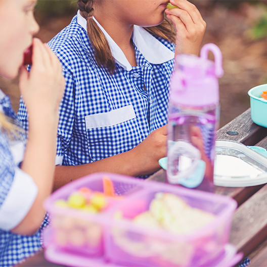 School Lunches to Fill Empty Stomachs
