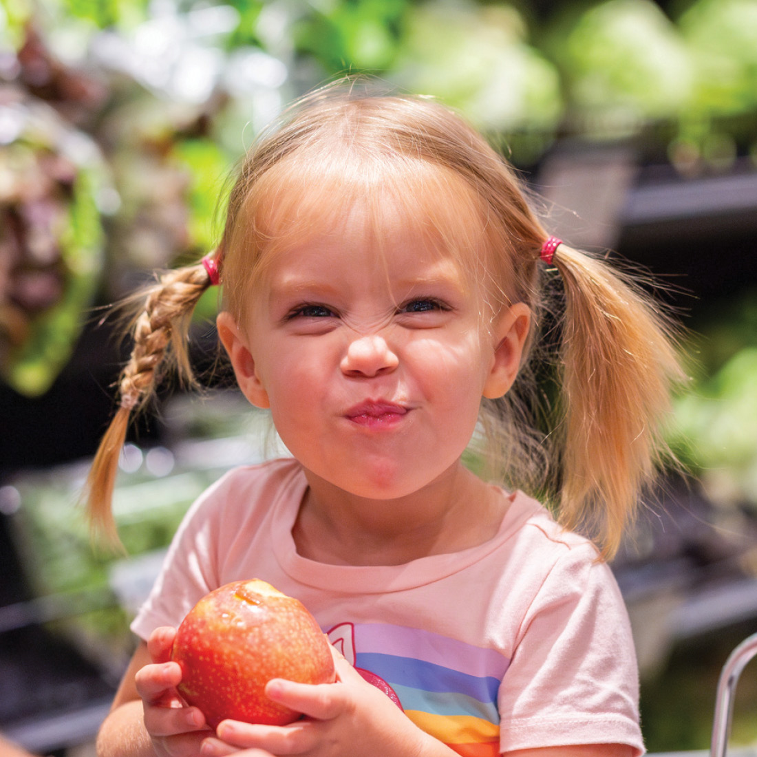 Nutritious Groceries for Families