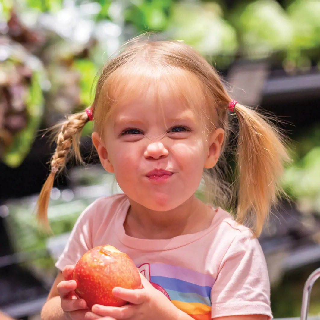 Nutritious Groceries for Families