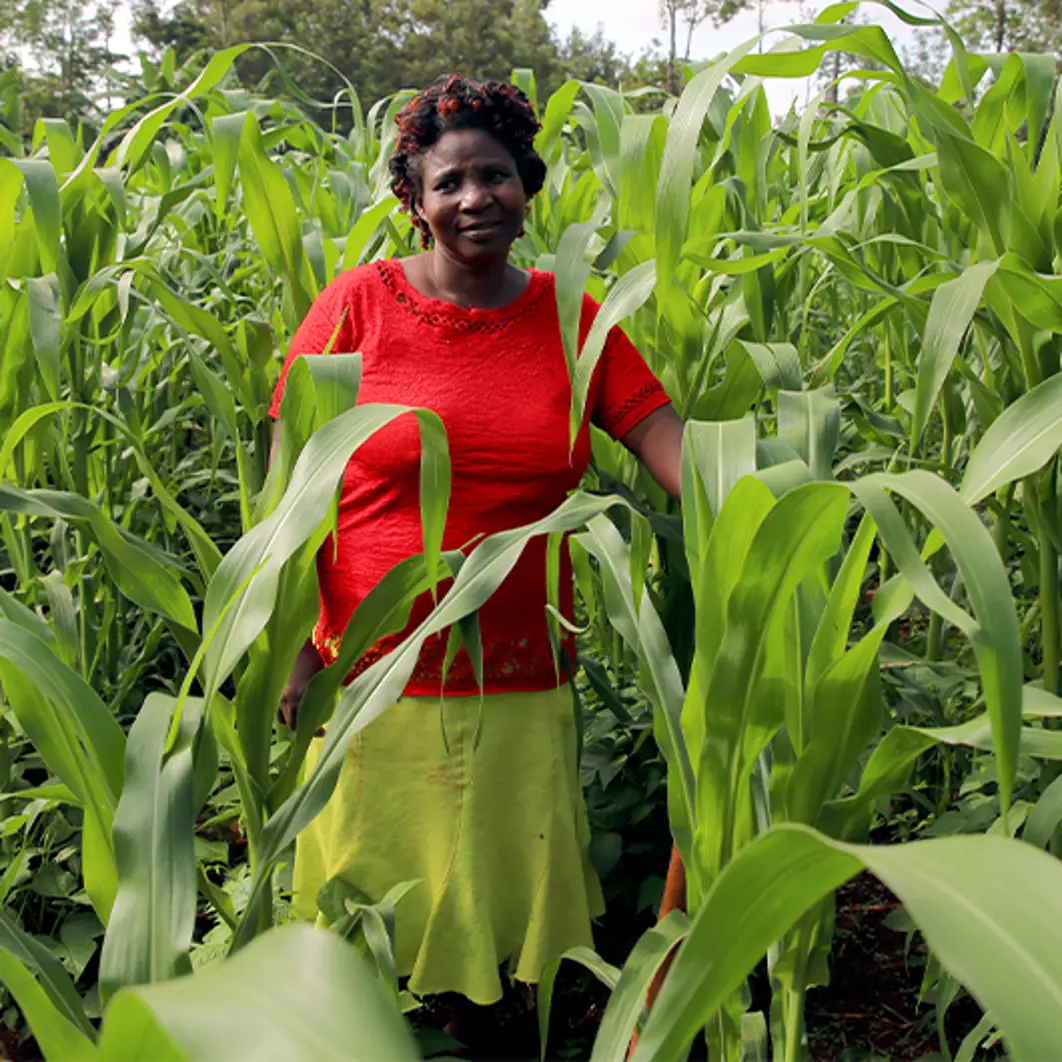 Seeds of Hope Kit