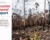 Bushfire Disaster Appeal Report released