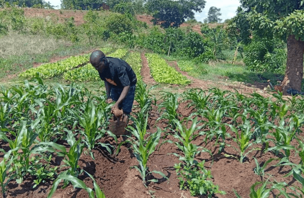 Picture of Folotia captured while maintaining the irrigation tunnel in his in his irrigation farm in GVH Sitima in Salima District.