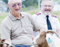 Goats and innovation in aged care