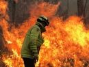 Bushfire disaster in NSW and QLD, rural firefighter.