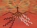 NAIDOC 2019 Promise of Reconciliation animated video - Celebrating NAIDOC