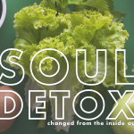 Soul Detox - Lethal Language