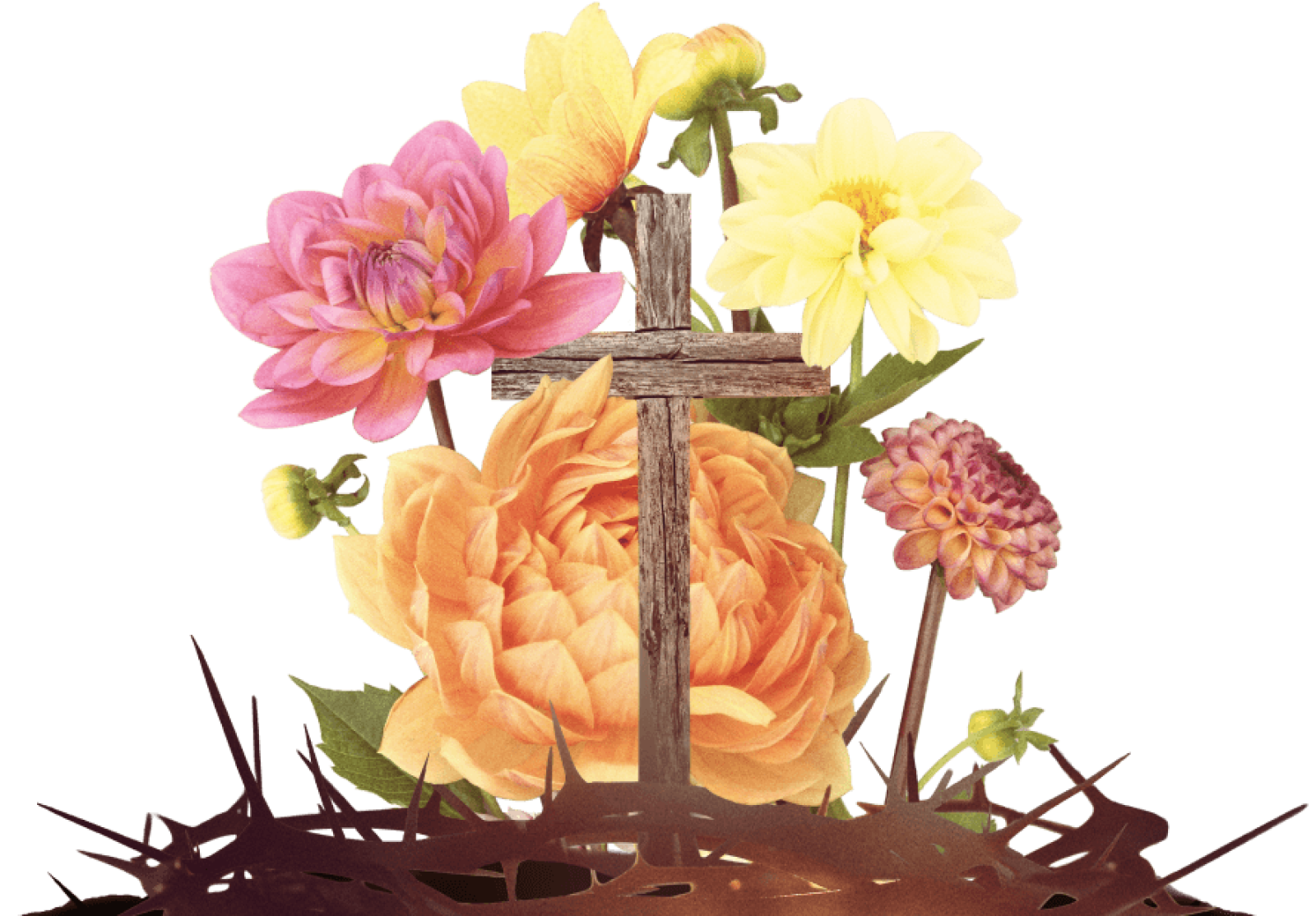 A wooden cruxifix standing within a crown of thorns surrounded with colourful dahlias blooming  