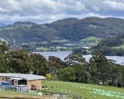 Doorways Community Support