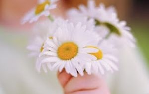 Celebrate Mothers Day @ Macquarie Park Salvos