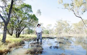Standing together on the land