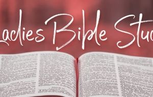 Ladies Bible Study 