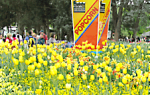 YP Family Movie Night