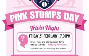 Pink Stumps Day - Cricket Event