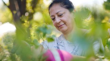 Someone in my corner! The strength of a Moneycare financial counsellor