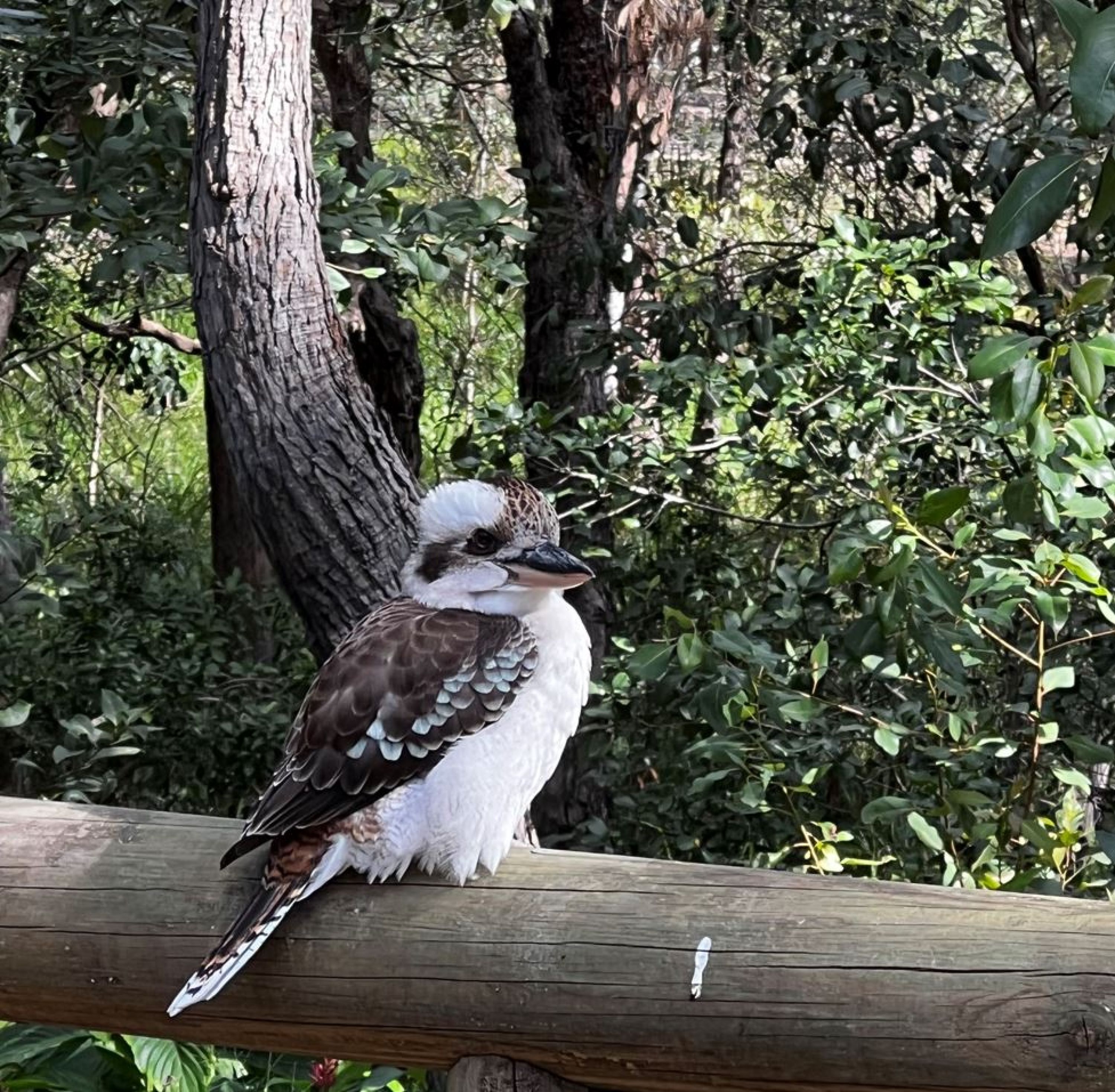 Tom Quinn Community Centre Bundaberg The Salvation Army Australia