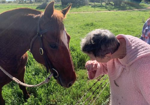 Celebrating our older people