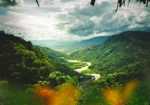 Finding strength in times of crisis