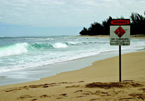 When life goes against the current