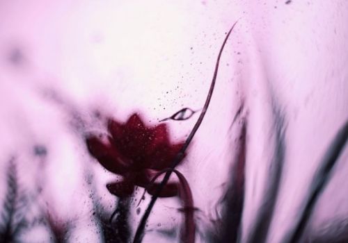 Patriarchy and the abuse of power