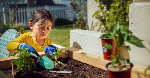 A young girl planting various plants using a shovel in a sunny garden.