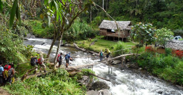 People crossing a bridge over running water on the Kokoda Track