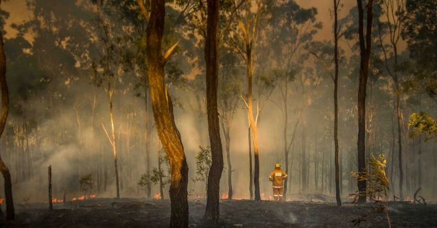 Australia rallies as devastating bushfires continue