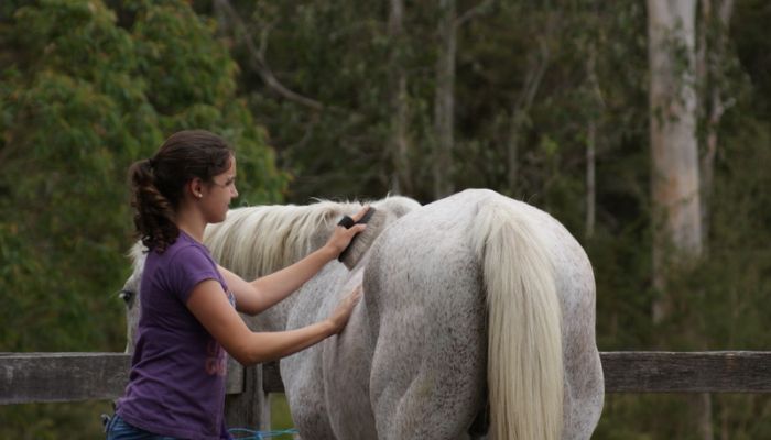 Pony School has now finished for 2012