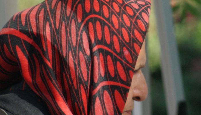 Macquarie Park Multi Cultural Festival