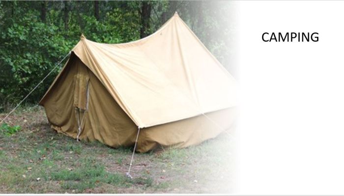 The Transfiguration of Jesus