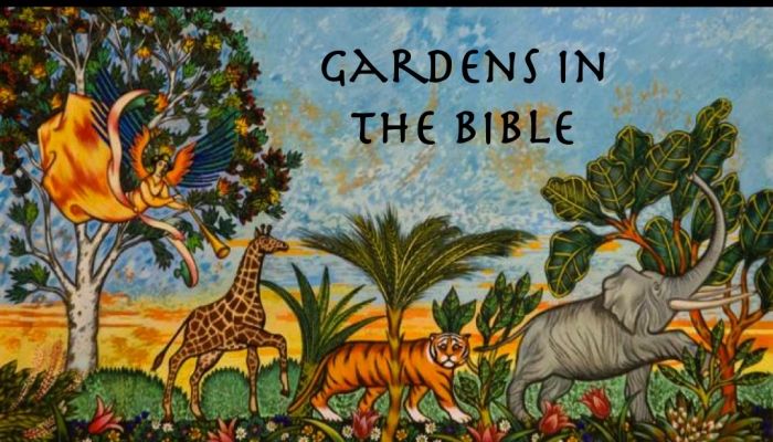 Garden Series - Garden of Joy