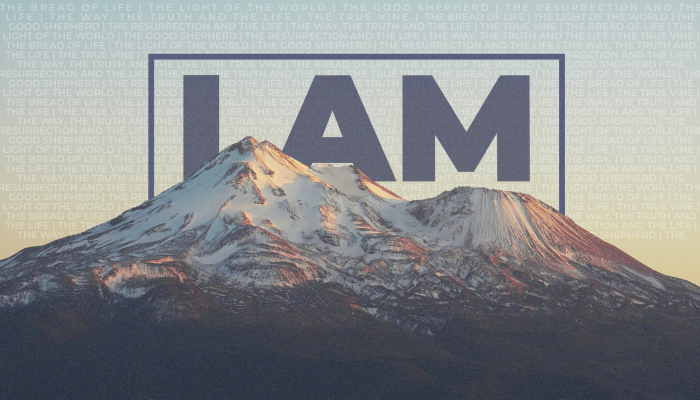 I AM - The Resurrection and The Life
