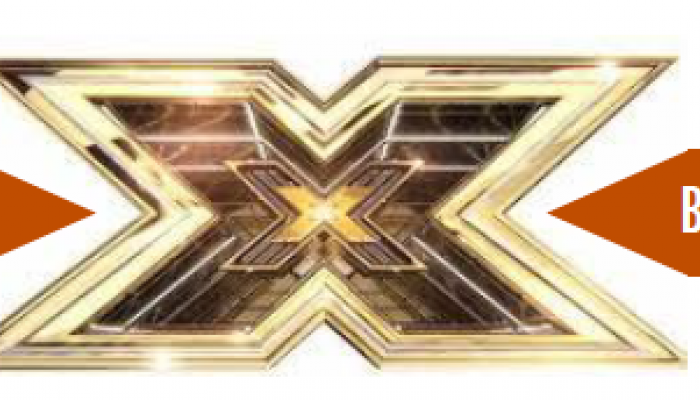 Commitment to the X Community