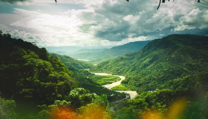 Finding strength in times of crisis