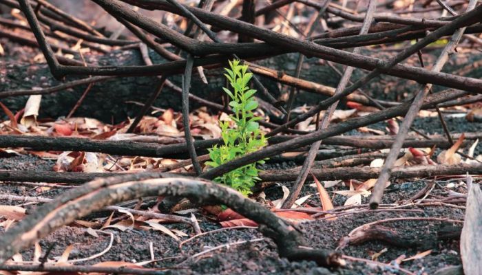 Standing with the desperate