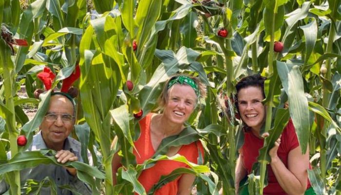 Bendigo program ripe to harvest