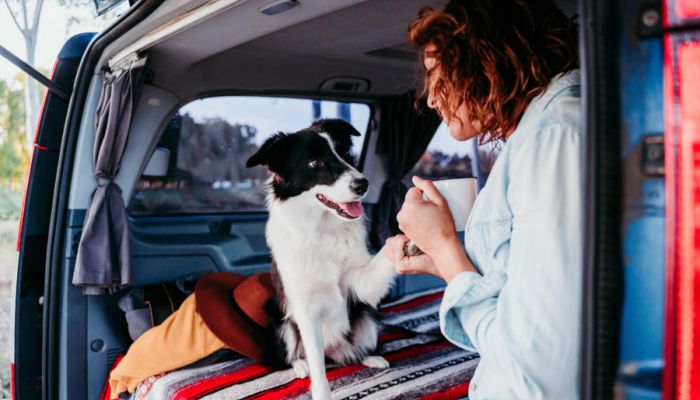 Homelessness, heartache and healing