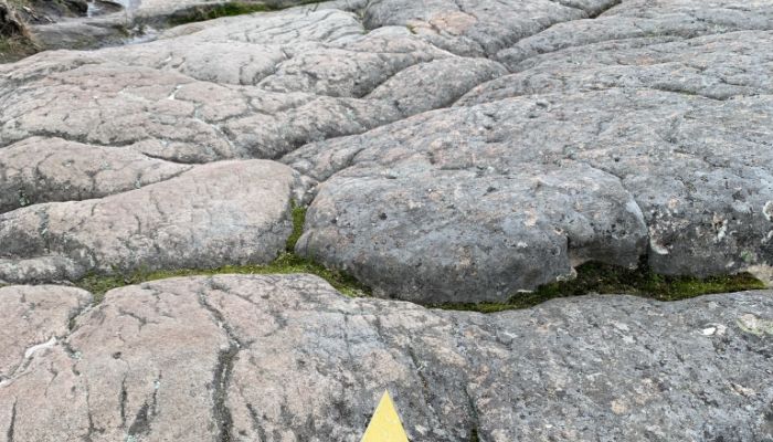 Little yellow triangles