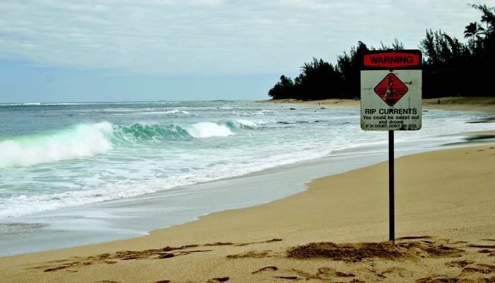 When life goes against the current