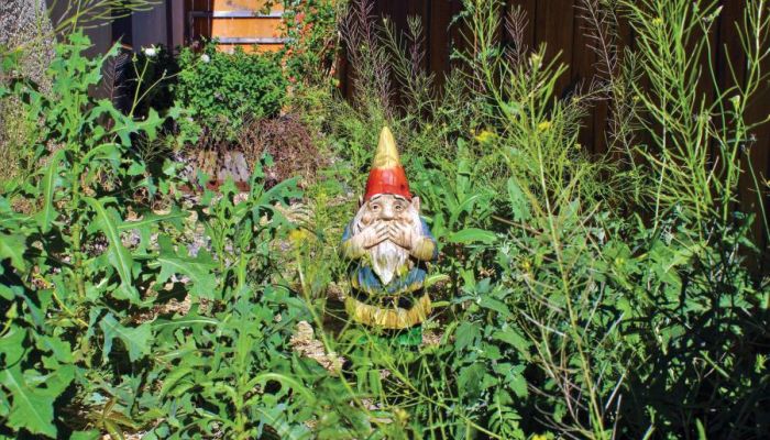 Weeding the soil of life