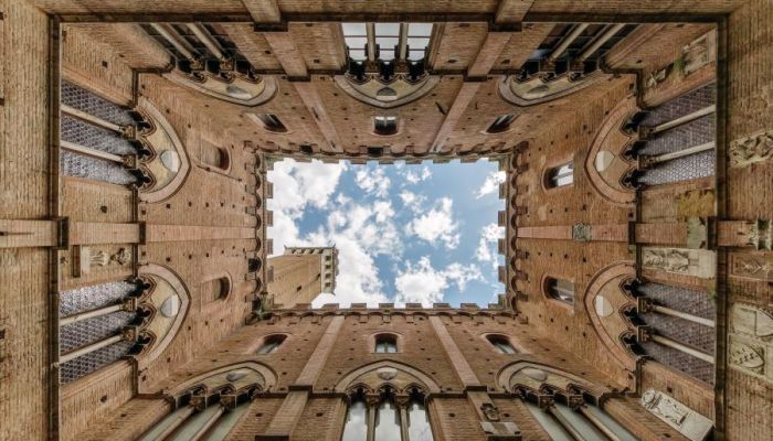 Life through a new lens