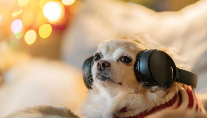 Christmas songs all year round