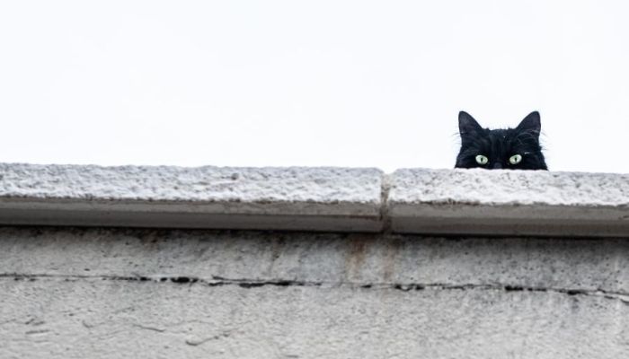 Burying your pride in service to others