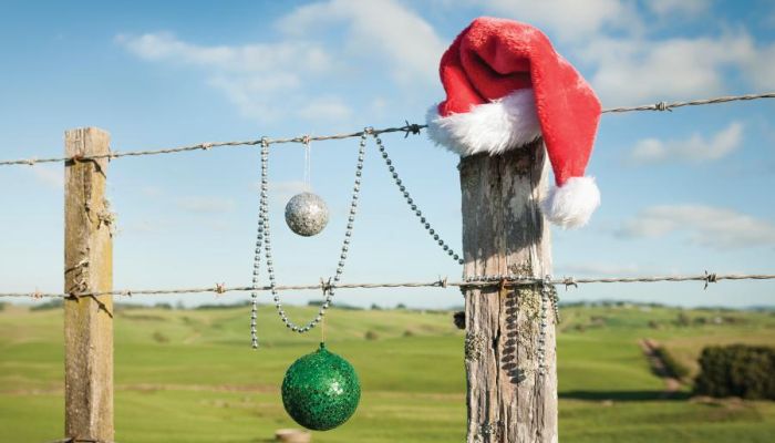 Tomahawks, trees, and God's perfect timing