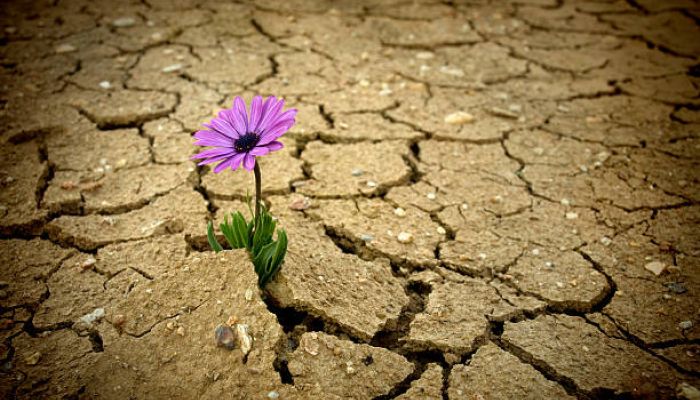 Beyond a bowl of pasta