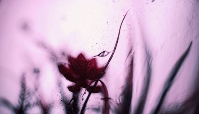 Patriarchy and the abuse of power