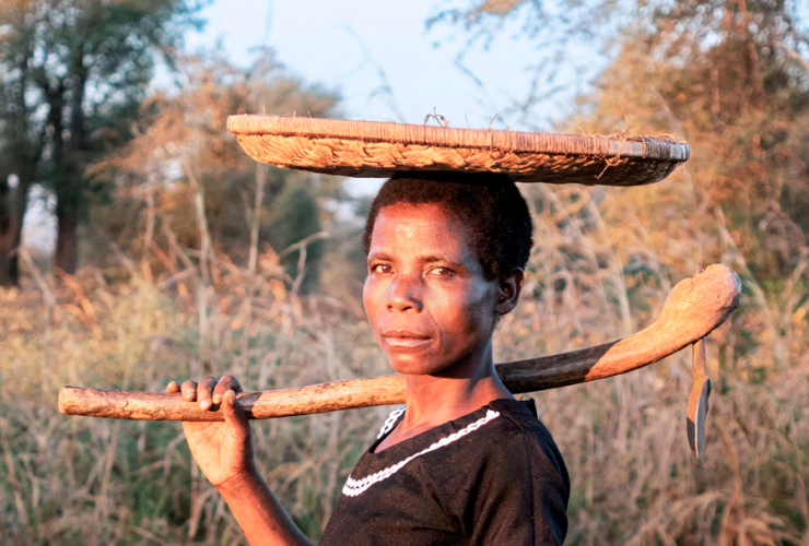 Woman standing in a field balancing a carrier on her head and holding a wheat stick.