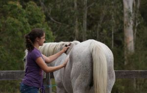 Pony School has now finished for 2012