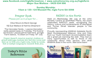 13/07/2025 - Newsletter