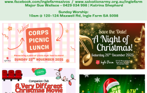 16/11/2025 - Newsletter